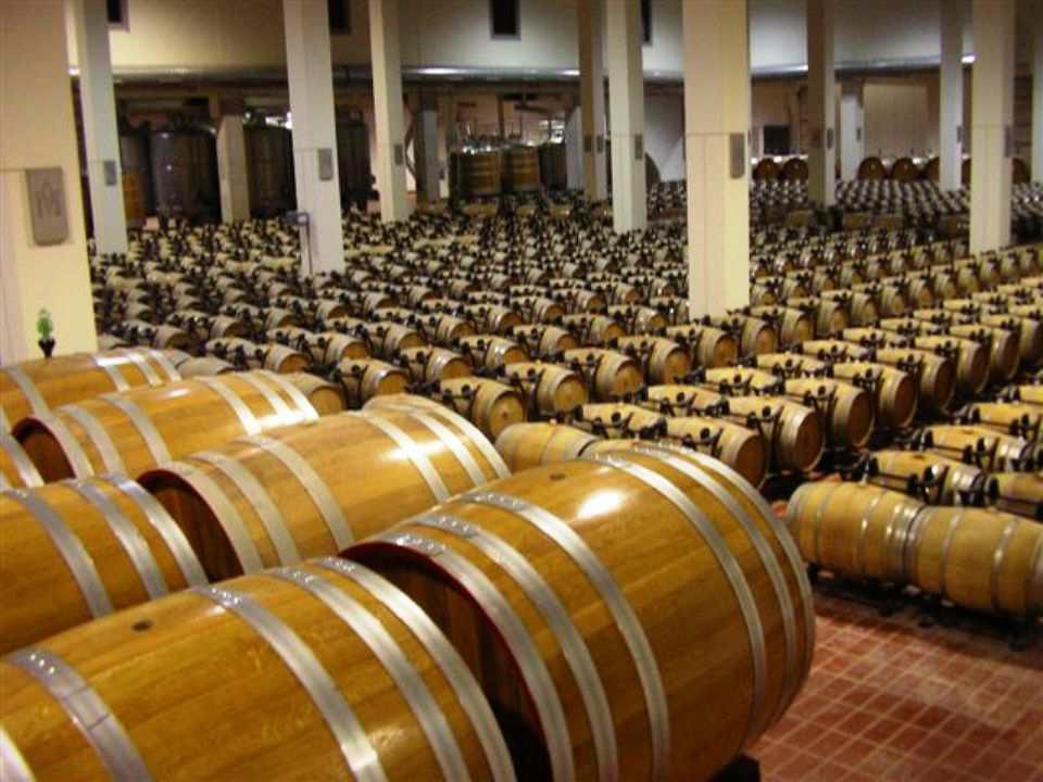 Produzione e commercio all'ingrosso di botti di legno artigianali per il vino